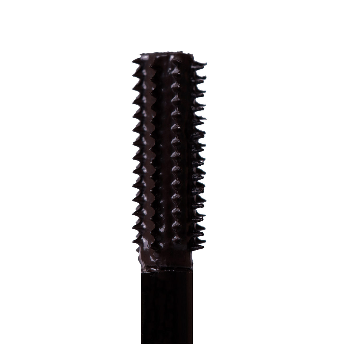 BT Wonderlash