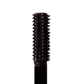 BT Wonderlash