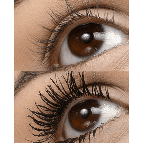 BT Wonderlash