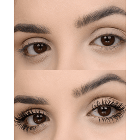 BT Wonderlash